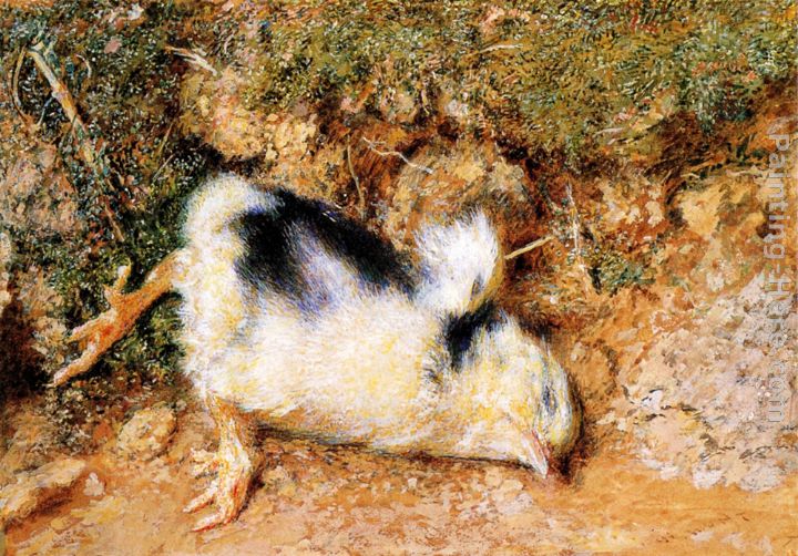 John Ruskin's dead chick painting - William Holman Hunt John Ruskin's dead chick art painting